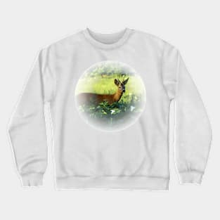 Roebuck Crewneck Sweatshirt